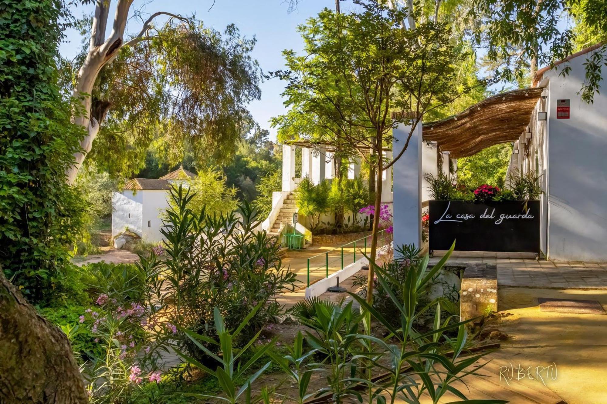 Apartamento Nuevo Centrico Con Aparcamiento Privado Incluido الكالا ذي غواذَيْرا المظهر الخارجي الصورة
